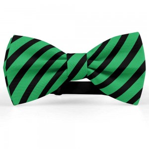 Papion barbati, verde-malachita, dungi negre late oblice