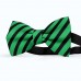 Papion barbati, verde-malachita, dungi negre late oblice