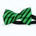 Papion barbati, verde-menta, dungi negre late oblice