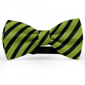 Papion barbati, verde-olive, dungi negre late oblice