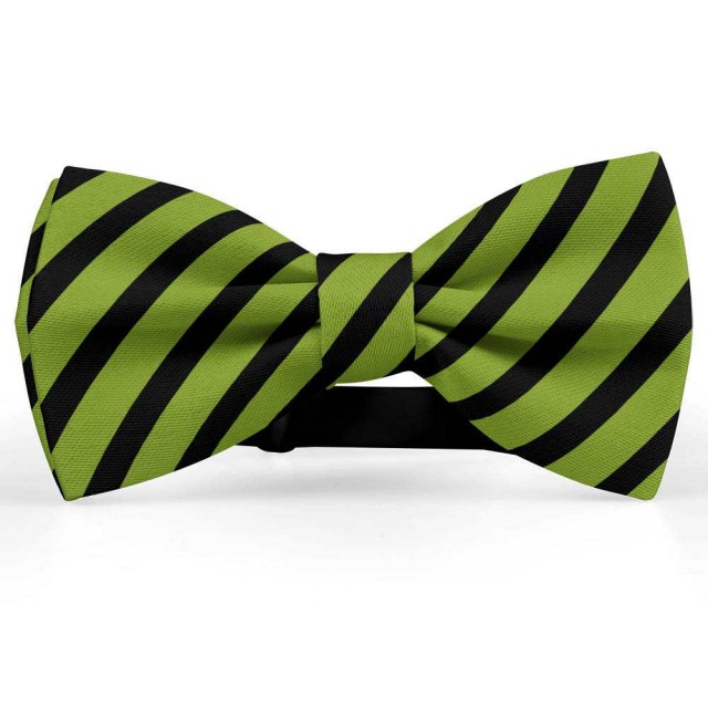 Papion barbati, verde-olive, dungi negre late oblice