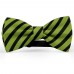 Papion barbati, verde-olive, dungi negre late oblice