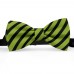 Papion barbati, verde-olive, dungi negre late oblice