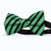 Papion barbati, verde-prasin, dungi negre late oblice