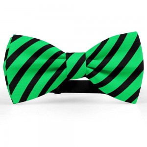 Papion barbati, verde-smarald,  dungi negre late oblice