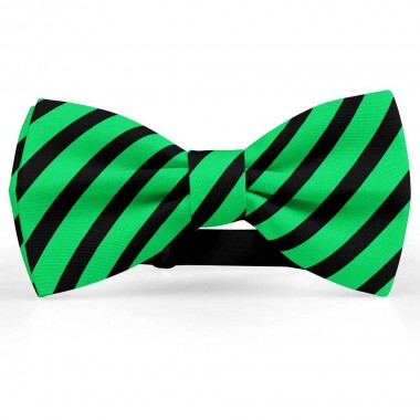 Papion barbati, verde-smarald,  dungi negre late oblice