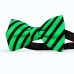 Papion barbati, verde-smarald,  dungi negre late oblice