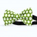 Papion verde-avocado, buline albe mari