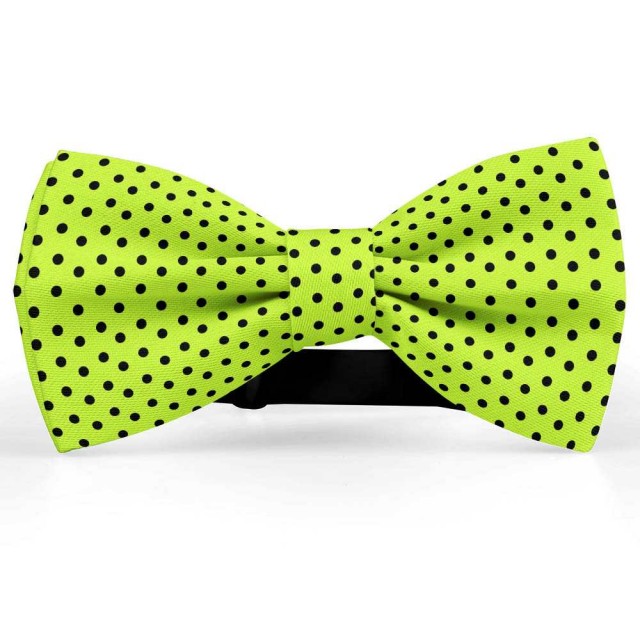 Papion verde-chartreuse, buline mici