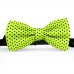 Papion verde-chartreuse, buline mici