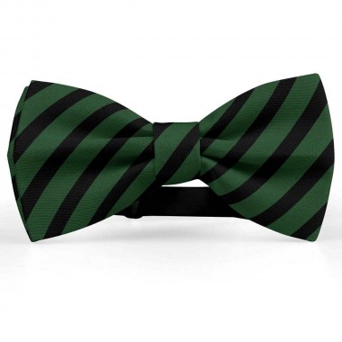 Papion barbati, verde englez, dungi negre late oblice