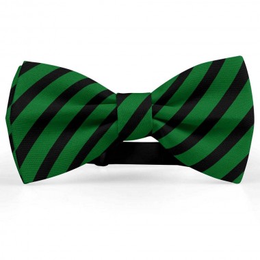 Papion barbati, verde-imperial, dungi negre late oblice