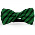 Papion barbati, verde-imperial, dungi negre late oblice