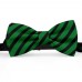 Papion barbati, verde-imperial, dungi negre late oblice