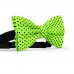 Papion verde-lime, buline mici