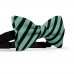 Papion barbati, verde-marin, dungi negre late oblice