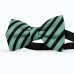 Papion barbati, verde-marin, dungi negre late oblice