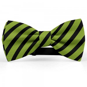 Papion barbati, verde-masliniu, dungi negre late oblice