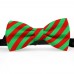 Papion butterfly, verde-menta, dungi late rosu-mac