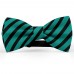 Papion barbati, verde-pin, dungi negre late oblice