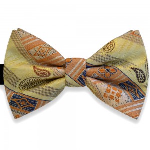 Papion galben sampanie, elegant, model bleumarin, maro, orange pal Luxury Line