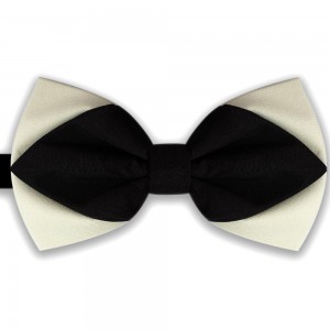 Papion diamant, butterfly, bicolor, alb ivoire-negru