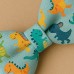 Papion „DinoStil” – Pentru Bărbați & Copii