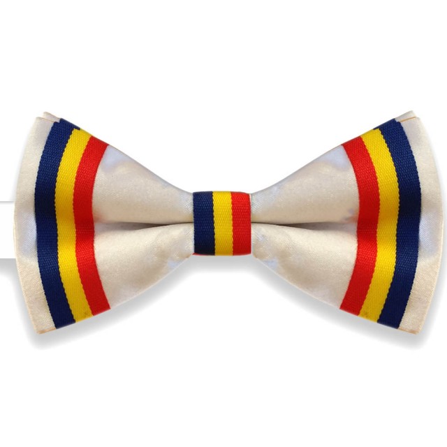 Papion tricolor, model 1